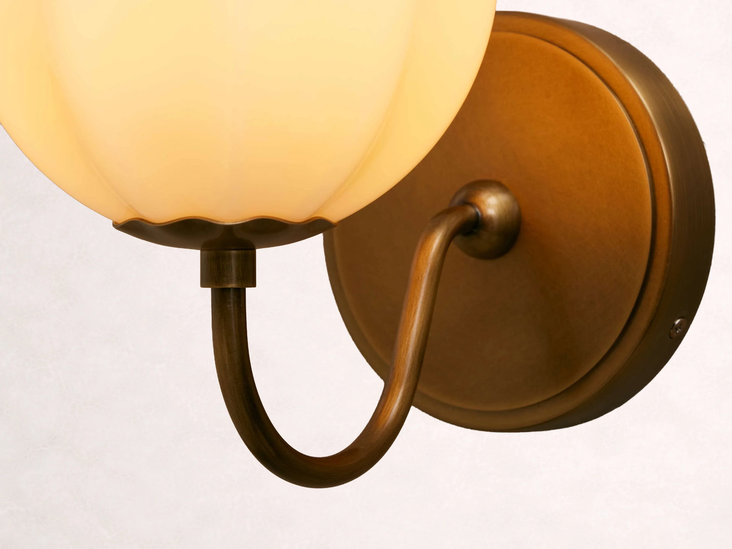 Agnes Gooseneck Sconce