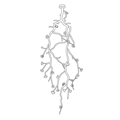 Large Long Branch Flower Chandelier - Richardrider