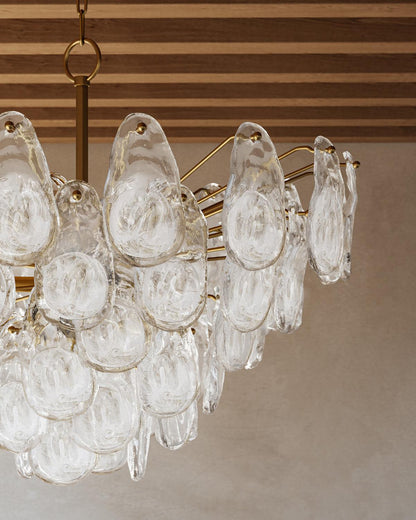 Darcia Clear Functional Design Chandelier - Richardrider