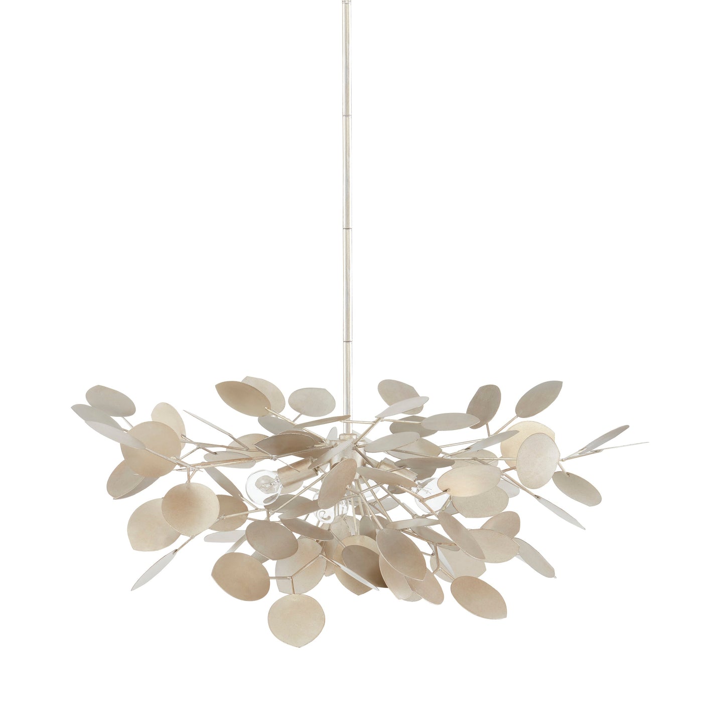 Calourin Chandelier Wrought Iron 31"D